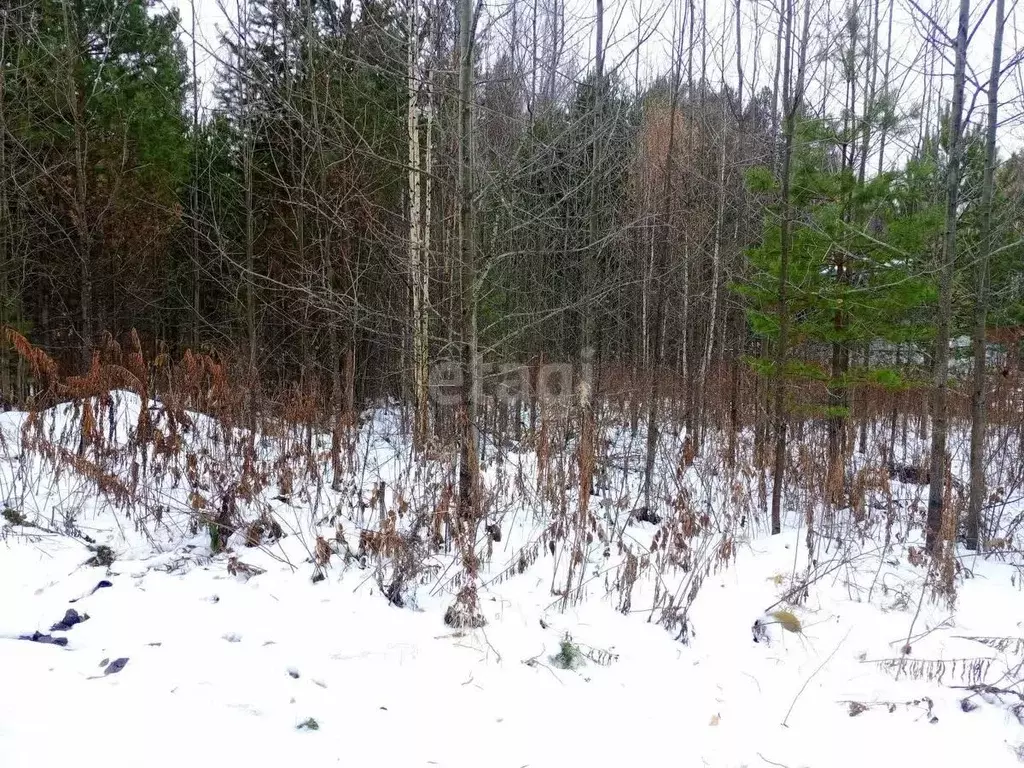 Участок в Свердловская область, Верхняя Салда  (8.9 сот.) - Фото 1