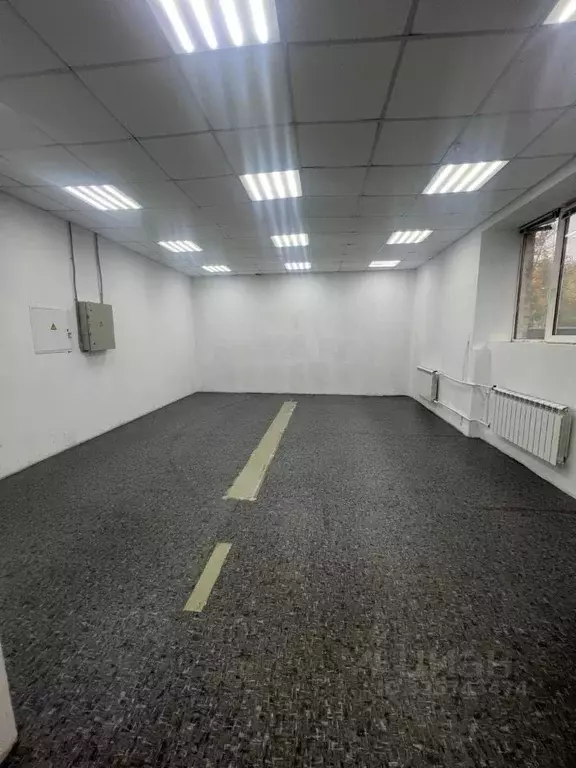 Помещение свободного назначения в Санкт-Петербург ул. Васи Алексеева, ... - Фото 2