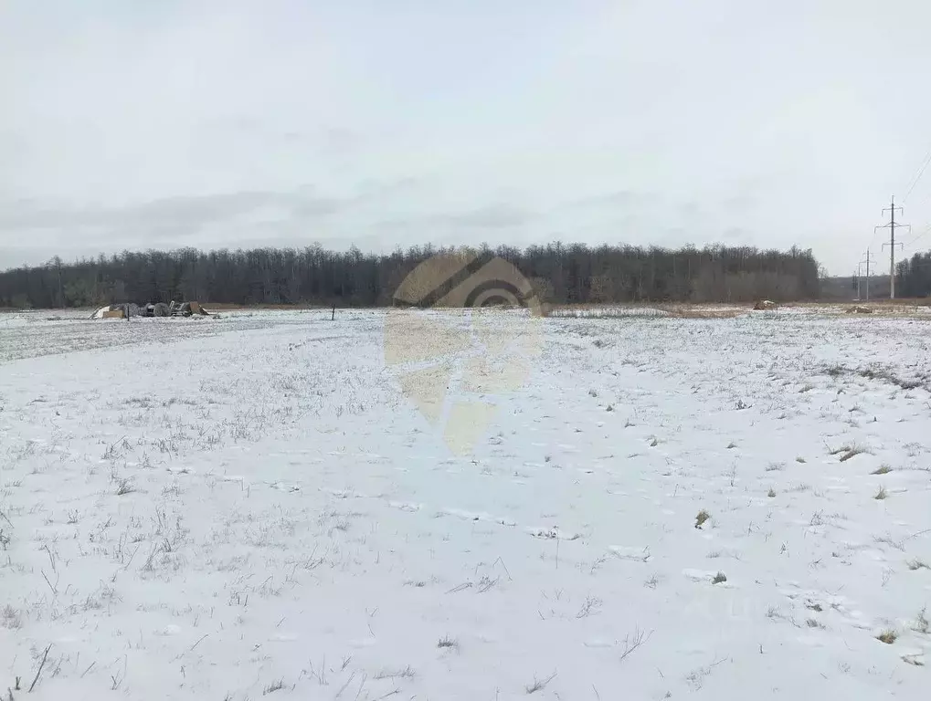 Участок в Белгородская область, Старооскольский городской округ, с. ... - Фото 0