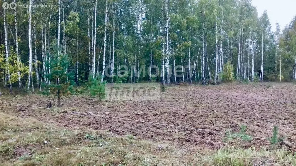 Участок в Заокский район, сельское поселение Страховское, деревня ... - Фото 2