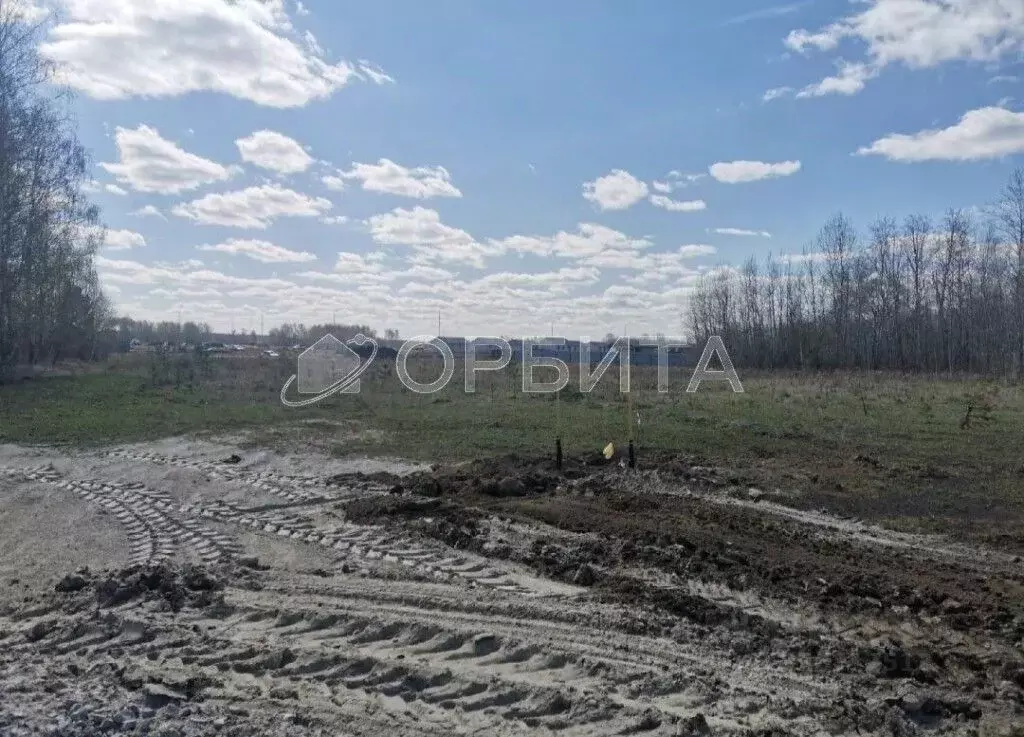 Участок в Тюменская область, Тюменский муниципальный округ, ... - Фото 2