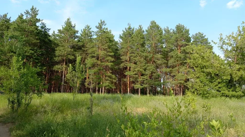 3-к кв. Саратовская область, Энгельсский район, Красноярское ... - Фото 1