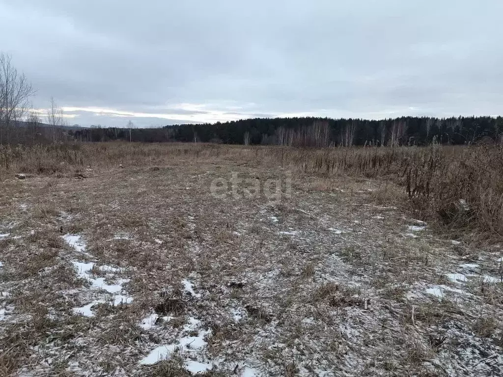 Участок в Свердловская область, Нижний Тагил с. Ольховка,  (12.0 сот.) - Фото 1