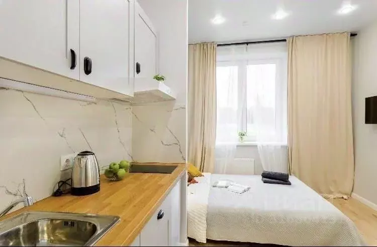 1-к кв. Санкт-Петербург пос. Песочный, Садовая ул., 81 (20.0 м) - Фото 0