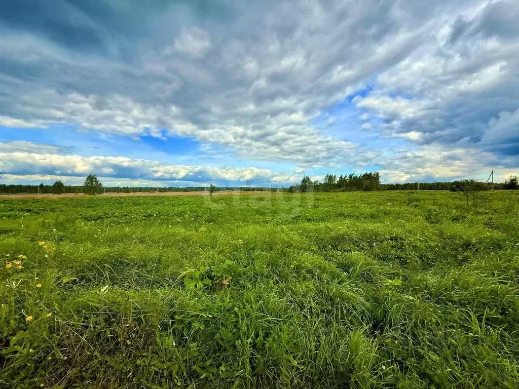 Участок в Владимирская область, Костерево Петушинский район, Рабочая ... - Фото 2