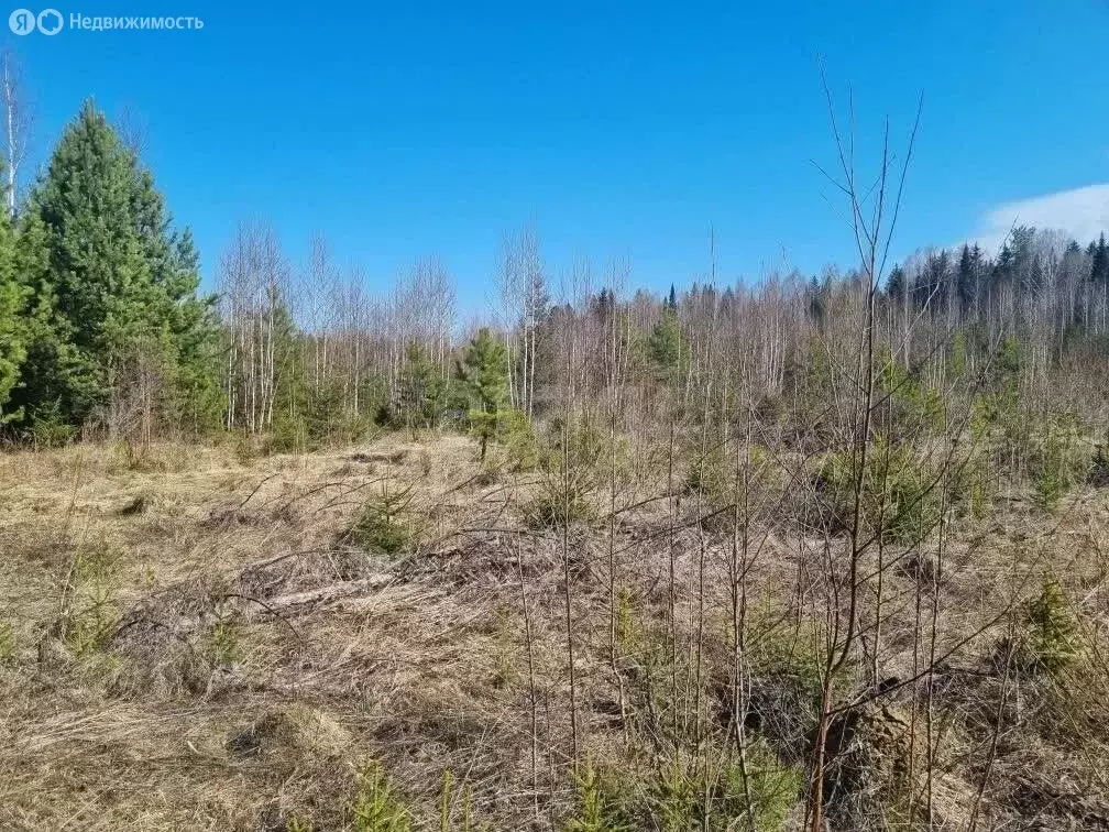 Участок в Свердловская область, Белоярский муниципальный округ, ... - Фото 2