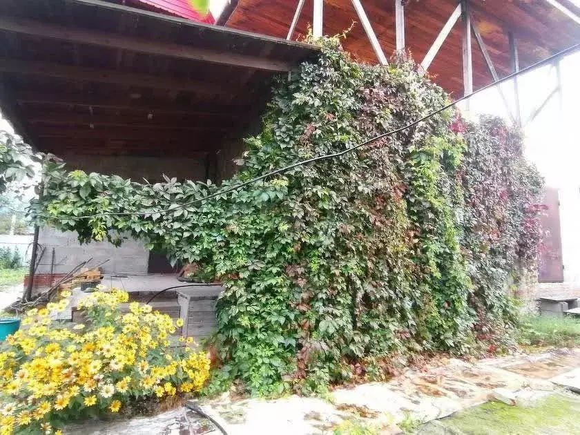 Дом в Тюменская область, Тюмень Металлист СНТ, ул. Центральная (120 м) - Фото 1