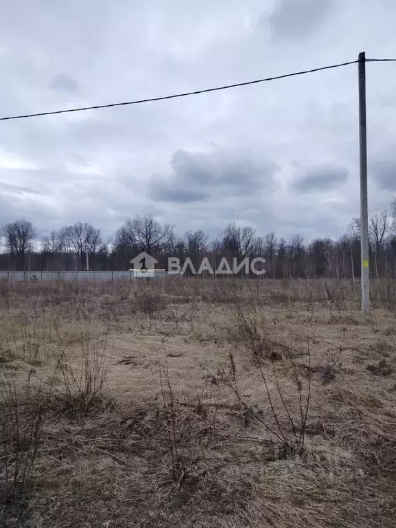 Участок в Нижегородская область, Балахнинский муниципальный округ, ... - Фото 1