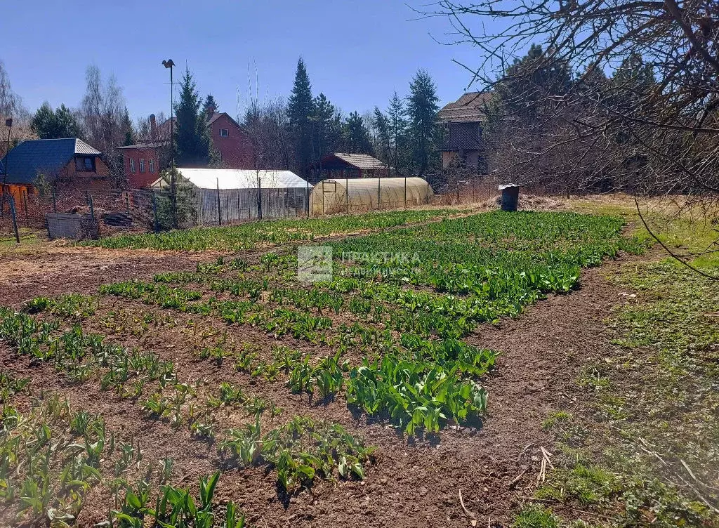 Продается участок в с. Иславское - Фото 2