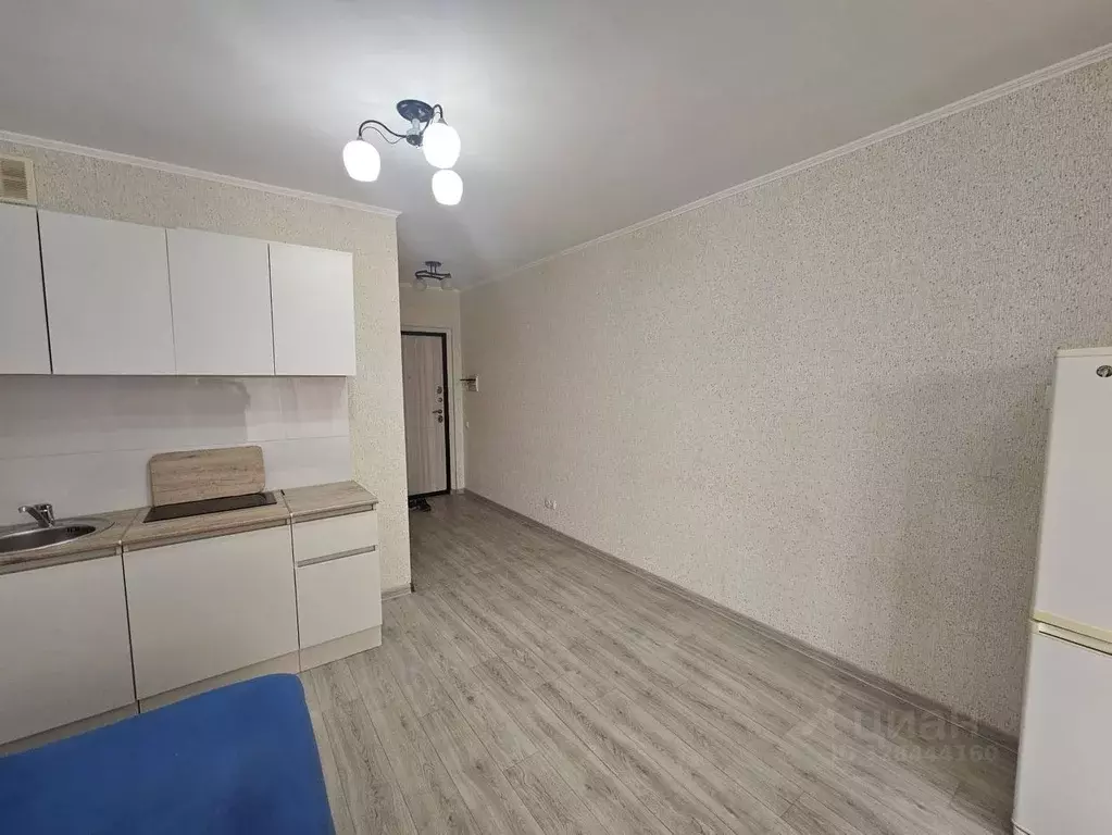 Студия Московская область, Ленинский городской округ, Лопатино пгт ул. ... - Фото 2