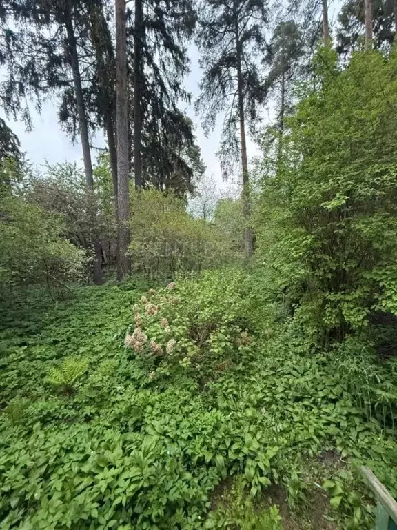 Участок в Московская область, Наро-Фоминский городской округ, д. ... - Фото 0