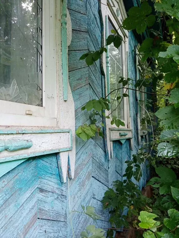 Дом 55 м на участке 13 сот. - Фото 1