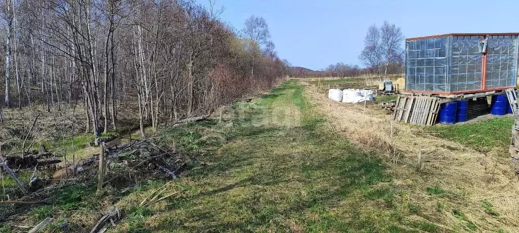 Участок в Сахалинская область, Анивский городской округ, с. Успенское  ... - Фото 1