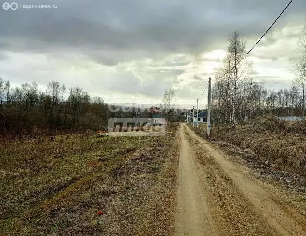 Участок в Московская область, Дмитровский муниципальный округ, село ... - Фото 2
