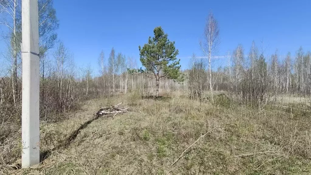 Участок в Тюменская область, Тюменский район, Винзили рп, Надежда СНТ ... - Фото 1
