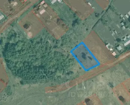 Участок в Новосибирская область, Мошковский район, с. Сокур ... - Фото 1