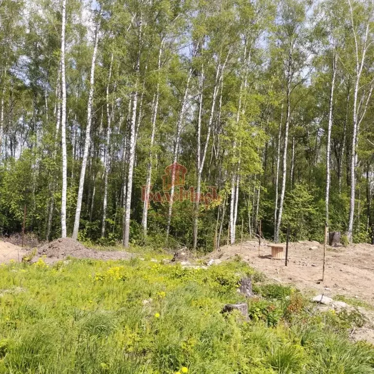 Участок в Московская область, Дмитровский городской округ, д. ... - Фото 0