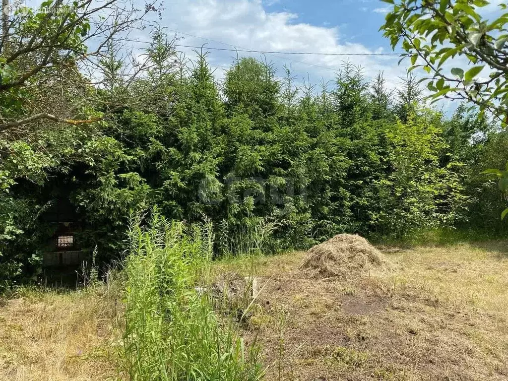 Дом в посёлок городского типа Большое Полпино, СО Спартан, 126 (30 м) - Фото 1
