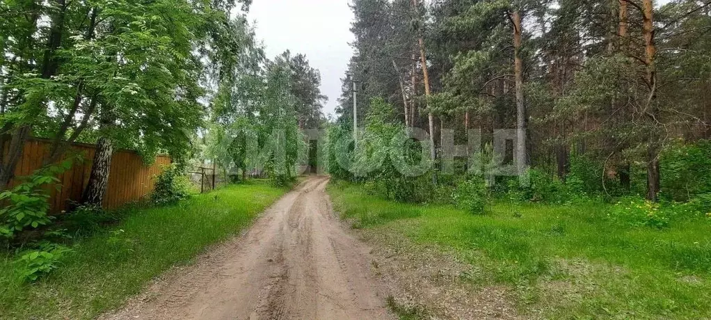 Участок в Новосибирская область, Ордынский район, с. Нижнекаменка ... - Фото 1