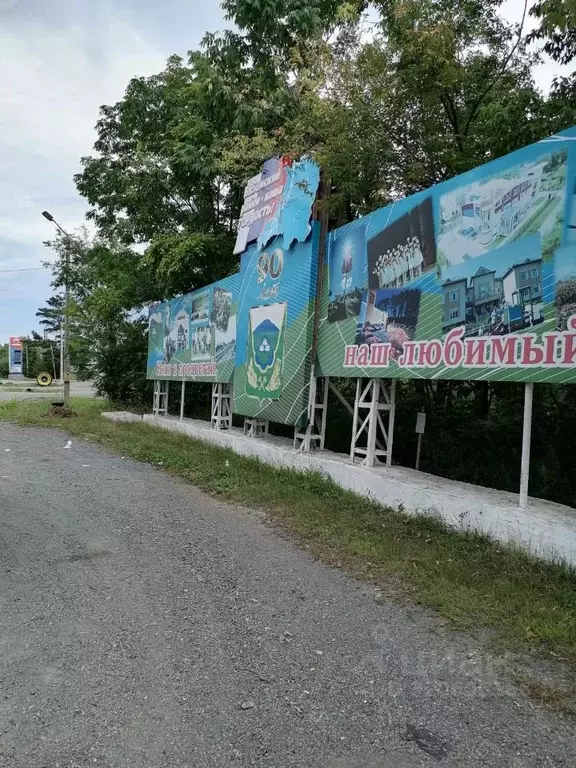 Участок в Хабаровский край, Вяземский Саперный пер., 10 (12.0 сот.) - Фото 1