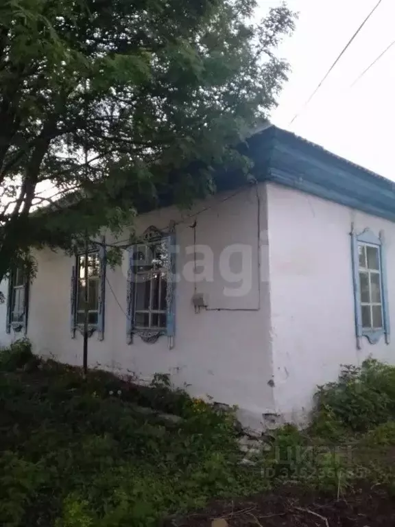 Дом в Алтайский край, Бийский район, с. Сростки Луговая ул., 10 (54 м) - Фото 1
