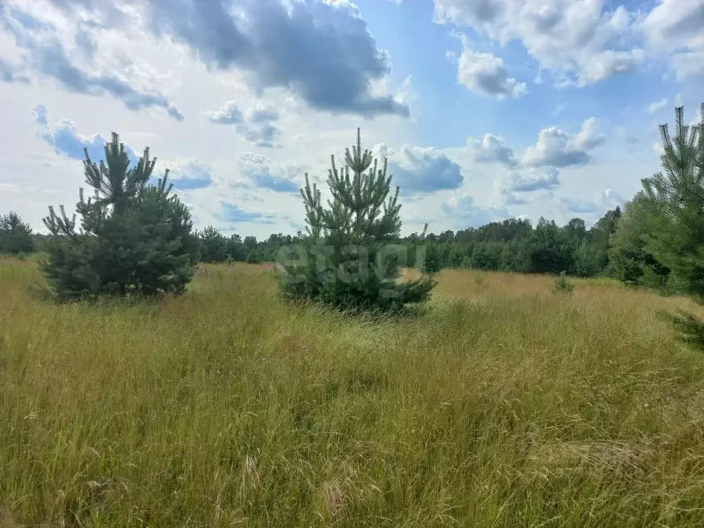 Участок в Ярославская область, Большесельский муниципальный округ, с. ... - Фото 1