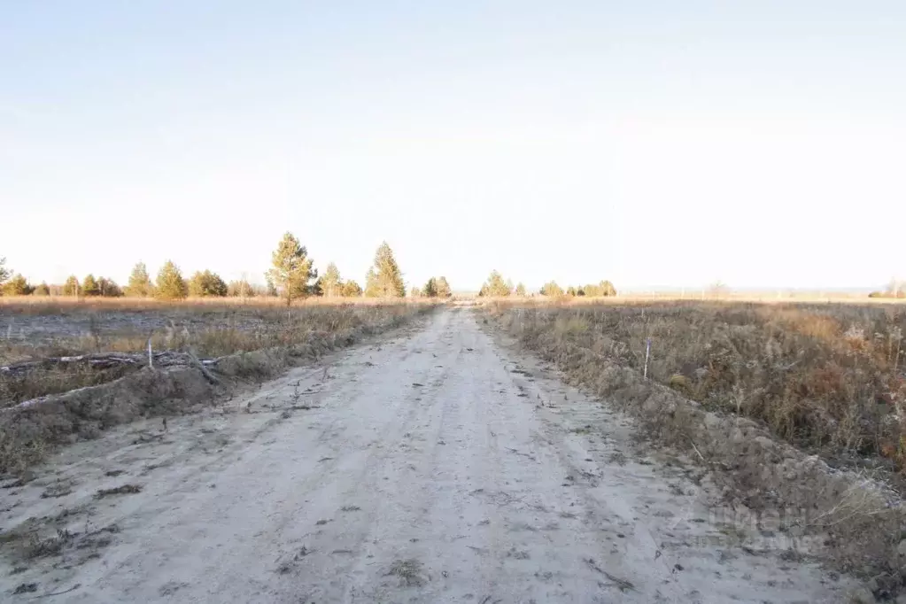 Участок в Тюменская область, Тюменский муниципальный округ, Каменское ... - Фото 1