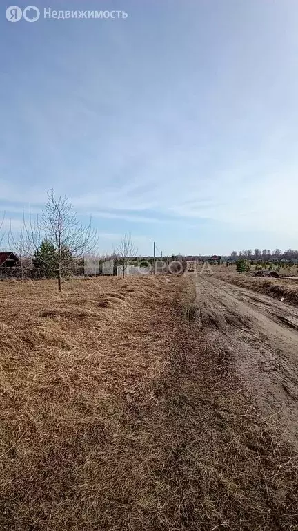 Участок в Первомайский район, посёлок Новый, Берёзовская улица (12 м) - Фото 0