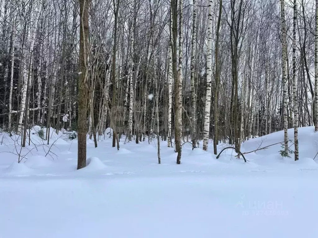 Участок в Пермский край, Пермь Ирбитская ул. (5.9 сот.) - Фото 2