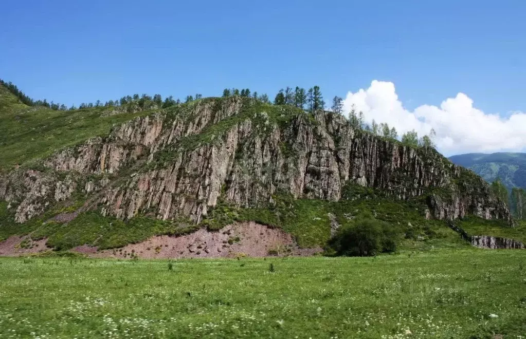 Участок в Алтай, Усть-Коксинский район, с. Катанда  (1270.8 сот.) - Фото 0