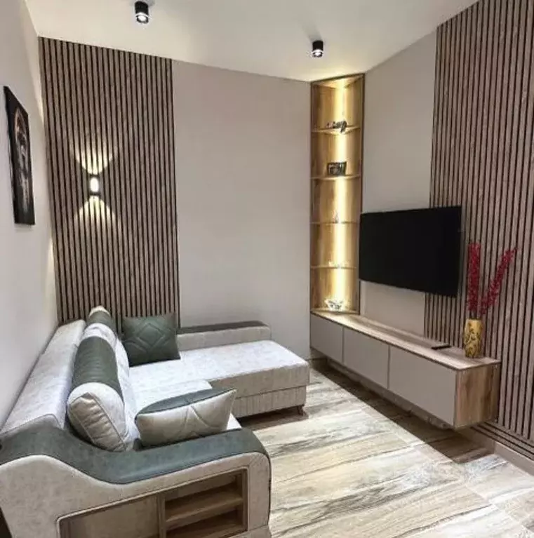 1-к кв. Татарстан, Казань ул. Николая Ершова, 65Б/1 (50.0 м) - Фото 1