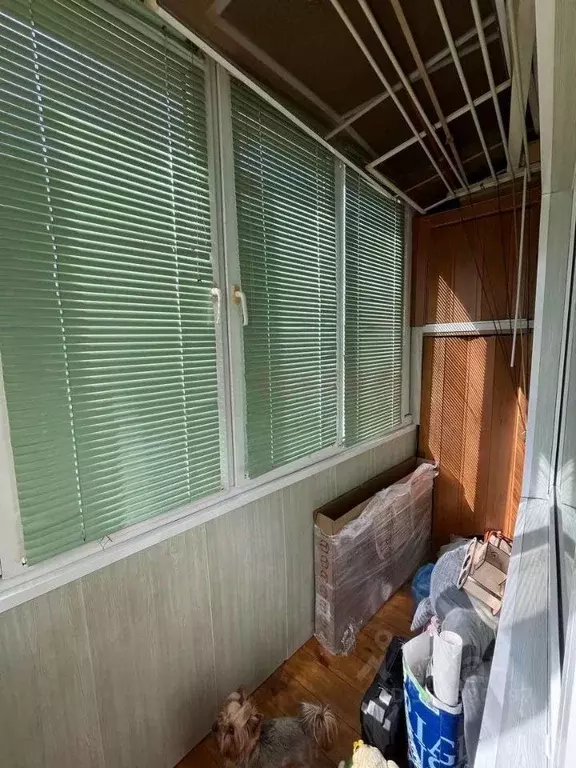 2-к кв. Белгородская область, Старый Оскол Королева мкр, 12 (52.0 м) - Фото 2