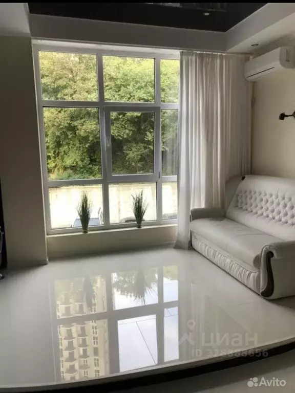 Студия Краснодарский край, Сочи ул. Яна Фабрициуса, 2/23И (25.0 м) - Фото 2