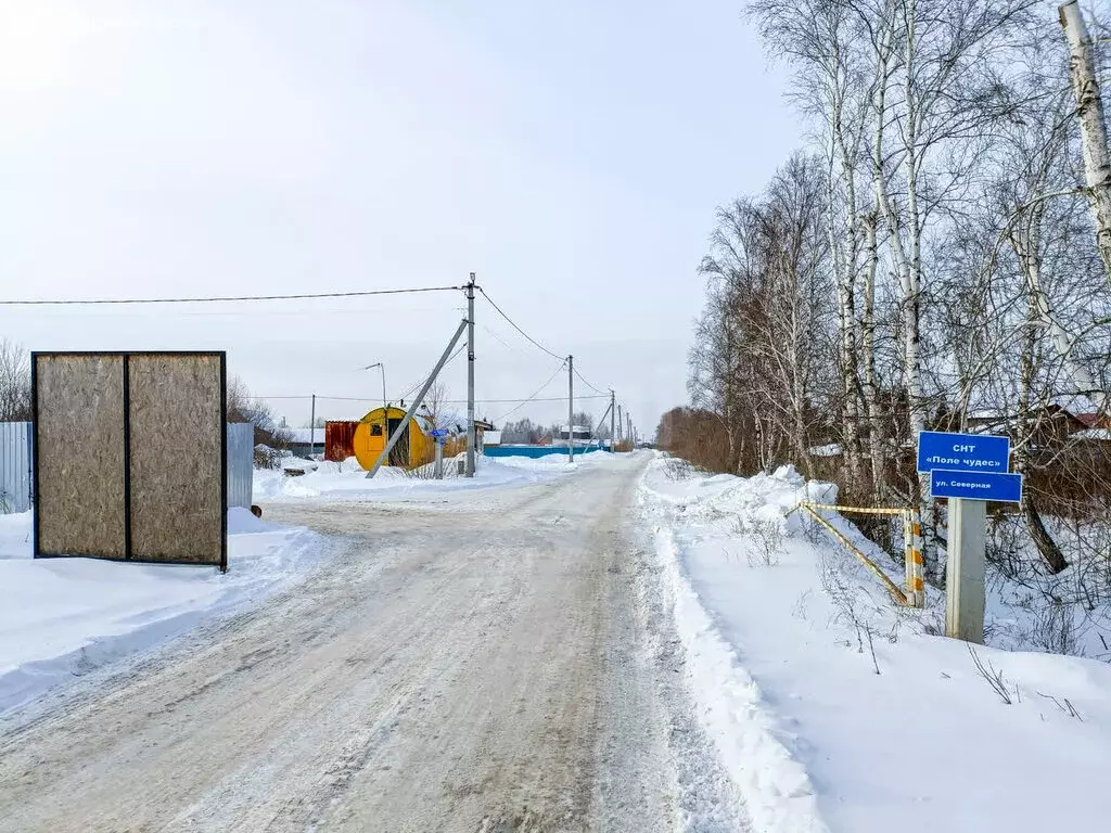 Участок в Тюмень, садовое товарищество Поле Чудес, Западная улица (10 ... - Фото 1