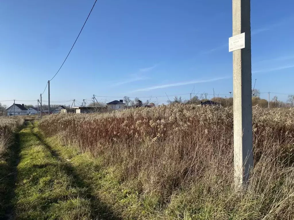 Участок в Калининградская область, Гурьевский муниципальный округ, ... - Фото 2