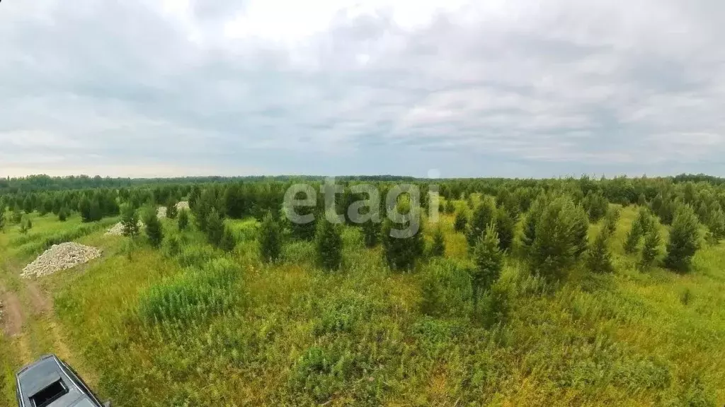 Участок в Тюменская область, Тюменский муниципальный округ, ... - Фото 2