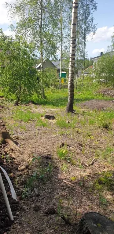 Участок в Ленинградская область, Всеволожский район, Бугровское ... - Фото 1