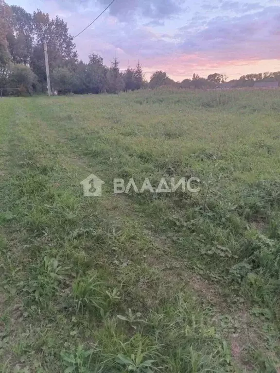 Участок в Владимирская область, Суздальский район, с. Новоалександрово ... - Фото 0