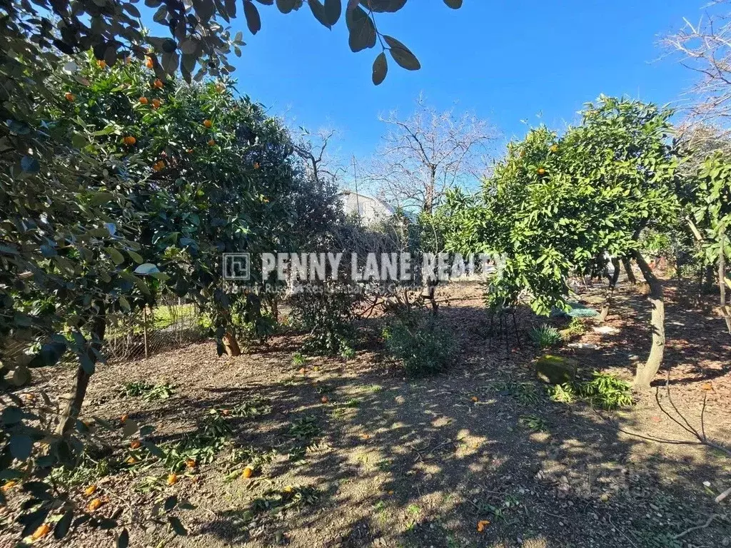 Участок в Краснодарский край, Сочи Белореченский пер. (6.0 сот.) - Фото 1