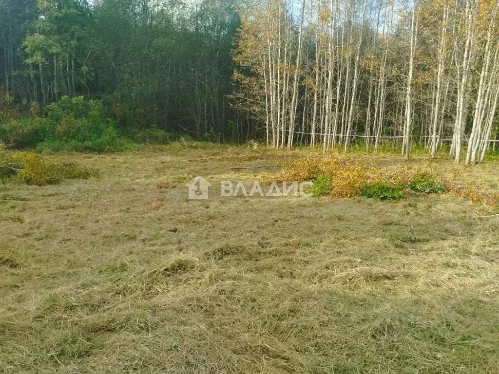 Участок в Ленинградская область, Лужский район, Мшинское с/пос, д. ... - Фото 2