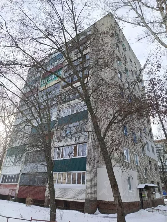 1-к кв. Курская область, Курск ул. Серегина, 11 (29.9 м) - Фото 0