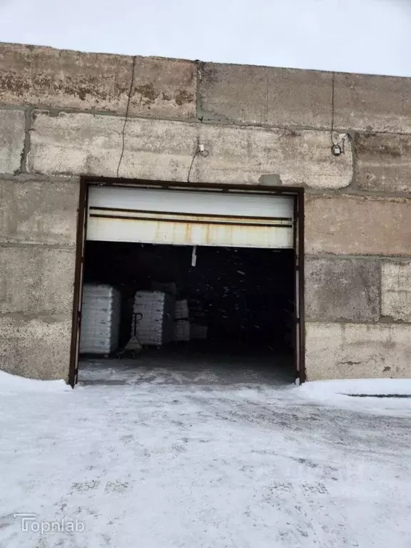 Помещение свободного назначения в Алтайский край, Барнаул Ткацкая ул., ... - Фото 1