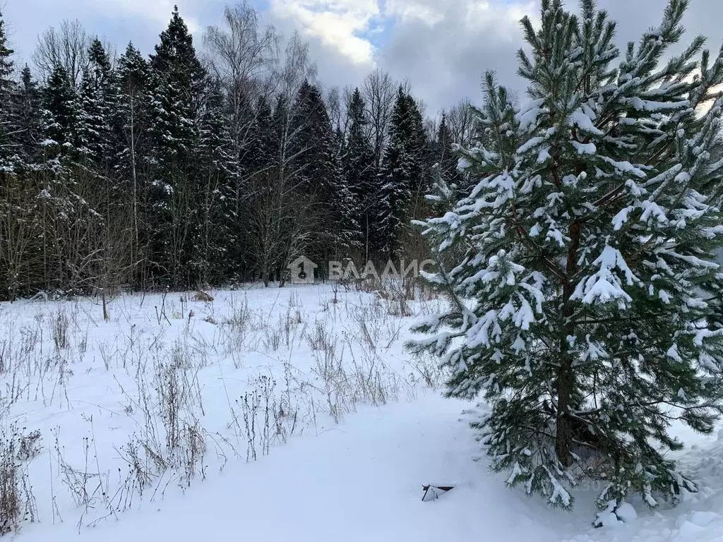 Участок в Московская область, Щелково городской округ, Медвежье Озеро ... - Фото 1