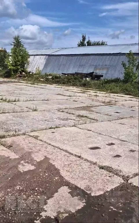 Помещение свободного назначения в Московская область, Щелково ... - Фото 2