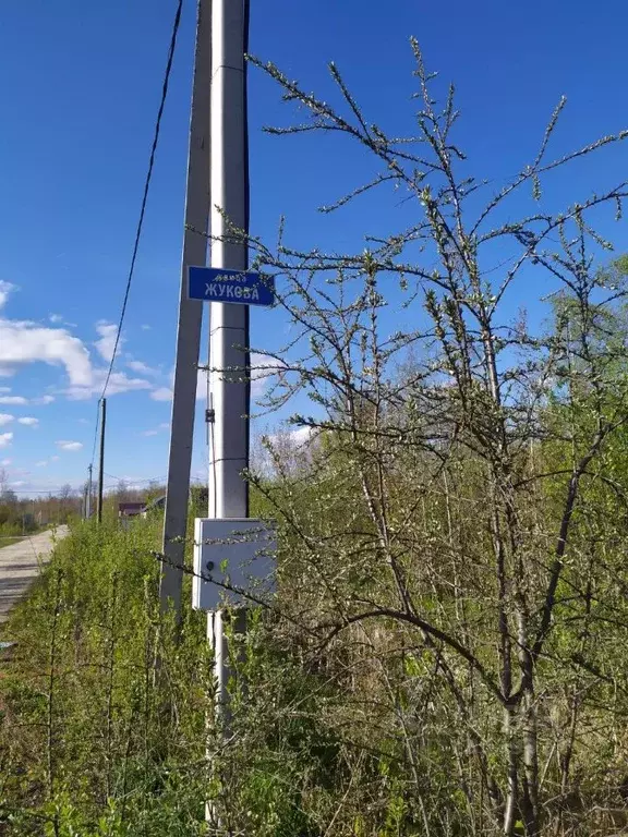 Участок в Новгородская область, Новгородский район, Ермолинское с/пос, ... - Фото 1