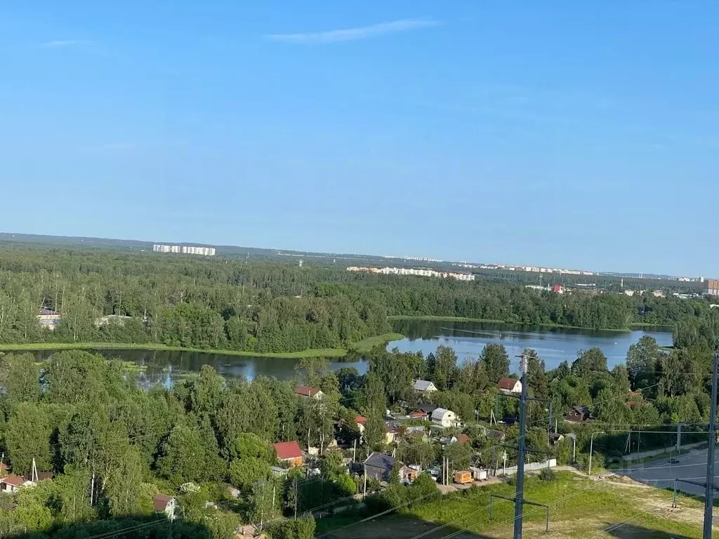 1-к кв. Санкт-Петербург дор. Муринская, 8к1 (30.0 м) - Фото 0