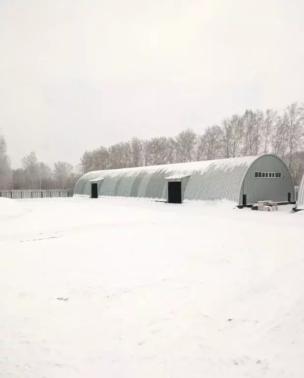 Склад в Новосибирская область, Новосибирск Золотая осень садовое ... - Фото 1