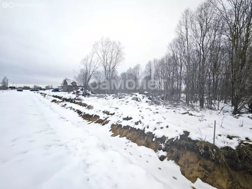 Участок в Новгородский район, Ермолинское сельское поселение, деревня ... - Фото 0