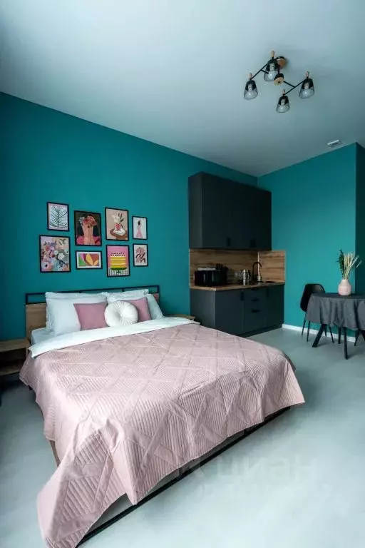 1-к кв. Санкт-Петербург Пулковское ш., 99к6 (25.0 м) - Фото 1