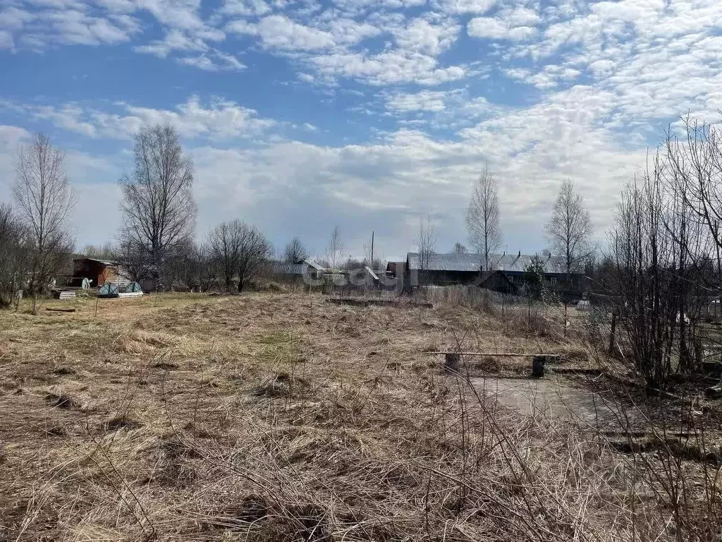 Участок в Вологодская область, Череповецкий район, д. Большой Двор ... - Фото 0
